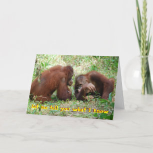 21e verjaardag geen valse ID Kaart