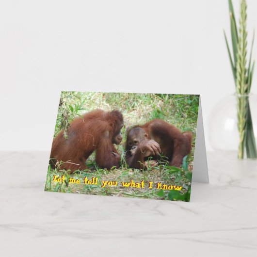 21e verjaardag geen valse ID Kaart (Voorkant)