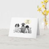 21e VERJAARDAG GROEP GROETEN DOGGIE STIJL Kaart (Gele Bloem)