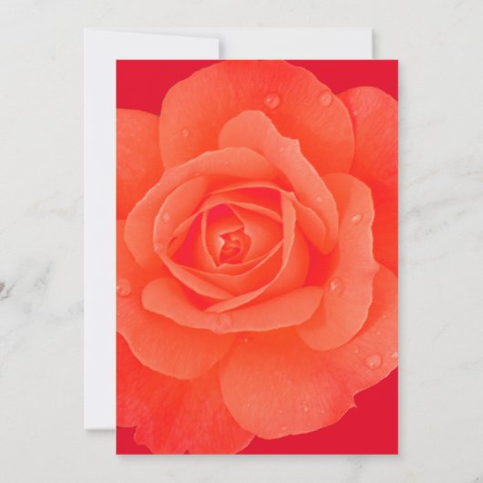 21e Verjaardag Roze Sinaasappel Roos Bloemen Moder Kaart (Achterkant)