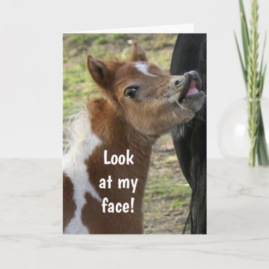 **21ste halve dag** OVERGESCHREVEN PONY Kaart (Voorkant)