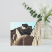 225 - Grote Muur van China Briefkaart (Staand voorkant)