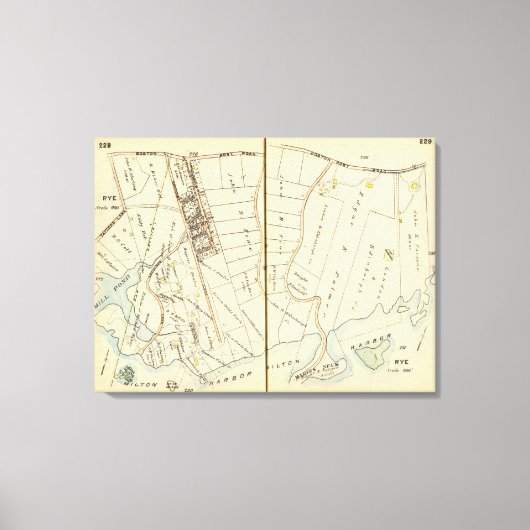 228229 Rogge Canvas Afdruk (Voorkant)