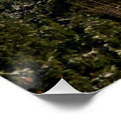 22-12-2014 PERFECT POSTER (Hoek)