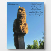 22:20 kat wacht op Jezus Fotoplaat (Voorkant)