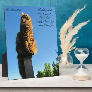 22:20 kat wacht op Jezus Fotoplaat