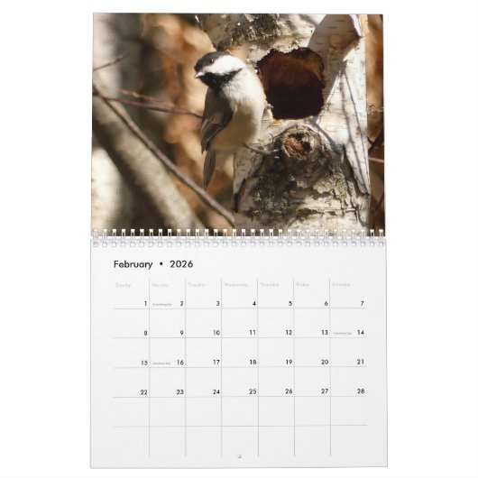 22 maart tot 23 feb. in Natuur kalender (Feb 2026)