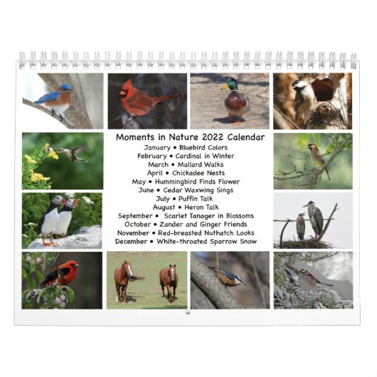 22 maart tot 23 feb. in Natuur kalender (Hoes)