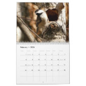 22 maart tot 23 feb. in Natuur kalender (Feb 2026)