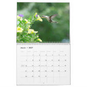 22 maart tot 23 feb. in Natuur kalender (Mar 2027)