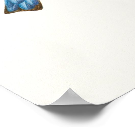 22 Vogelsoorten L. Prang & Co botanisch Poster (Hoek)