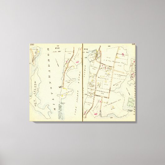 230231 Rogge Canvas Afdruk (Voorkant)