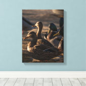 2318-Vrouw wilde eenden Canvas Afdruk (Insitu (Houten vloer))