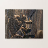 2318-Vrouw wilde eenden in vijverpuzzel Legpuzzel (Horizontaal)