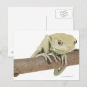 23568119 BRIEFKAART (Voorkant / Achterkant)