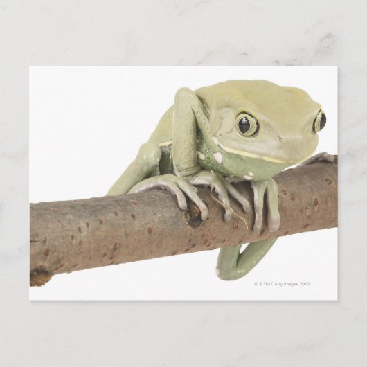 23568119 BRIEFKAART (Voorkant)