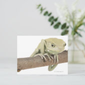 23568119 BRIEFKAART (Staand voorkant)