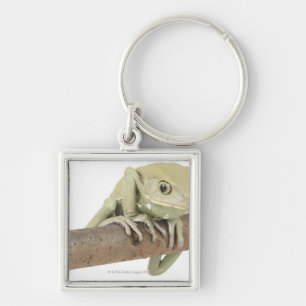 23568119 SLEUTELHANGER