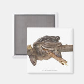 23568138 MAGNEET (Voorkant / Achterkant)