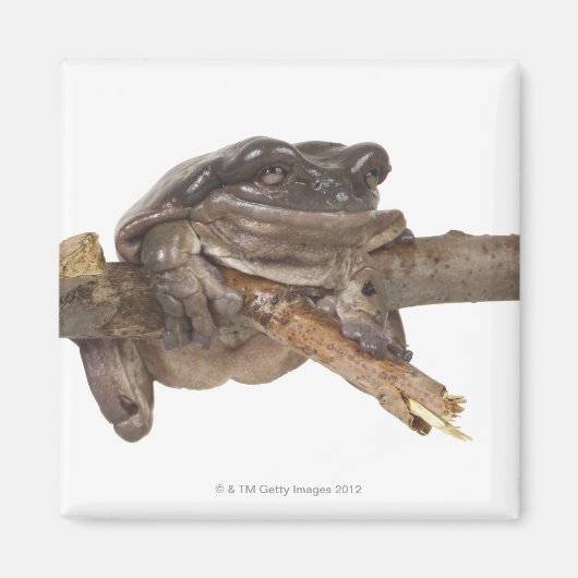 23568138 MAGNEET (Voorkant)