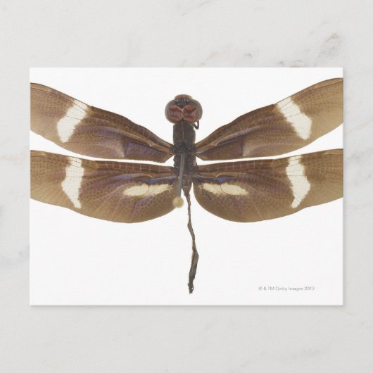 23599152 BRIEFKAART (Voorkant)