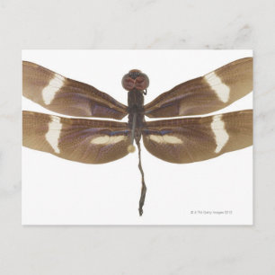 23599152 BRIEFKAART