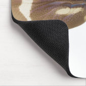 23599152 MUISMAT (Hoek)