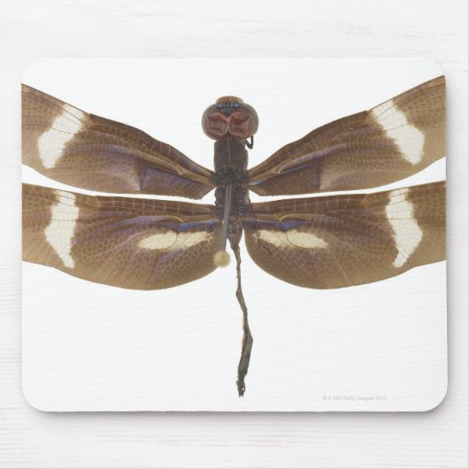 23599152 MUISMAT (Voorkant)