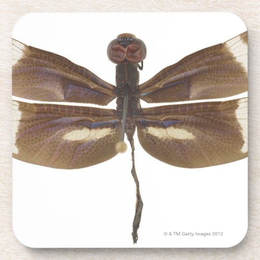 23599152 ONDERZETTER (Voorkant)