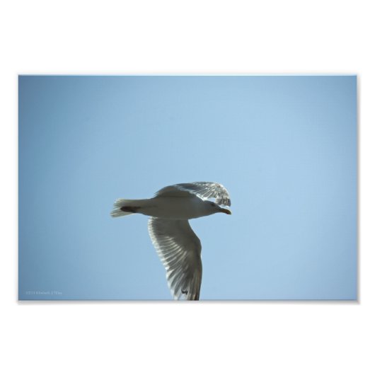 2367 FOTO AFDRUK (Voorkant)