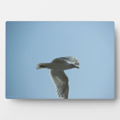 2367 FOTOPLAAT (voorkant)