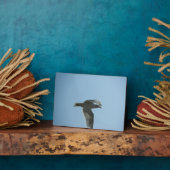 2367 FOTOPLAAT (Zijkant)