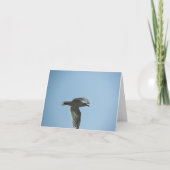 2367 KAART (Voorkant)