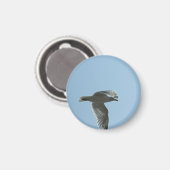 2367 MAGNEET (Voorkant / Achterkant)