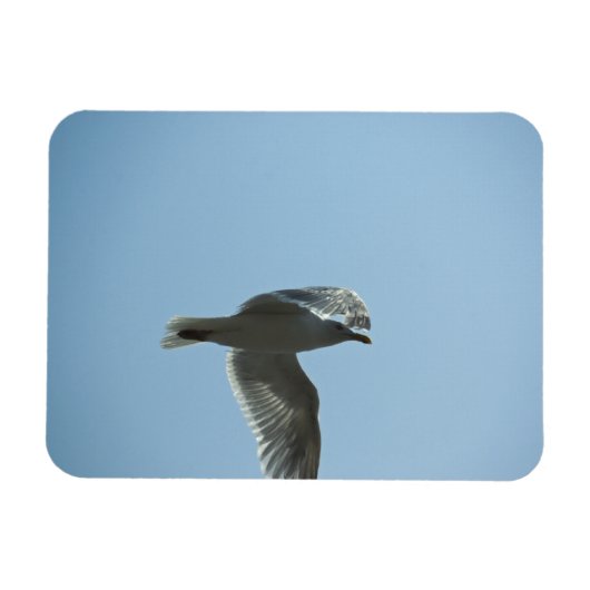 2367 MAGNEET (Horizontaal)