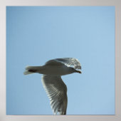 2367 POSTER (Voorkant)