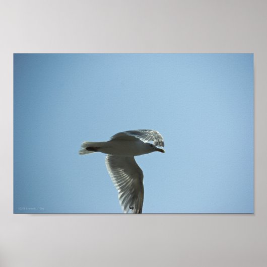 2367 POSTER (Voorkant)