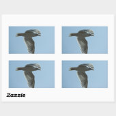 2367 RECHTHOEKIGE STICKER (Vel)