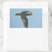 2367 RECHTHOEKIGE STICKER (Tas)