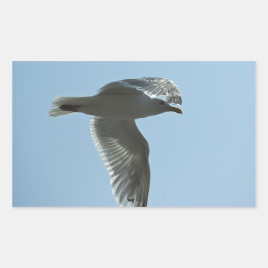 2367 RECHTHOEKIGE STICKER (Voorkant)