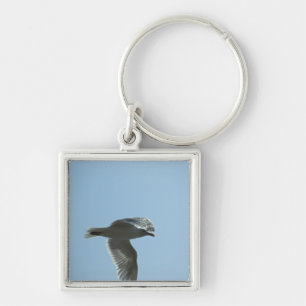 2367 SLEUTELHANGER