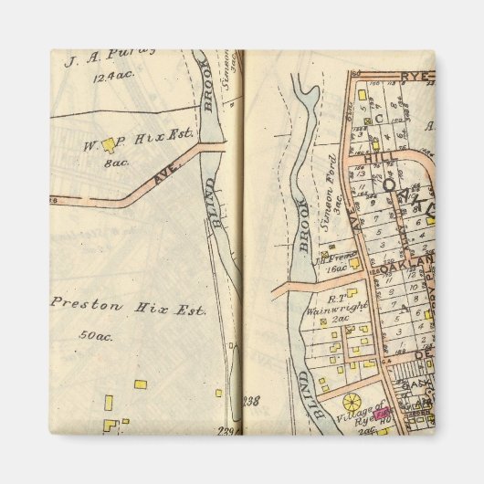 238239 Rogge Magneet (Voorkant)