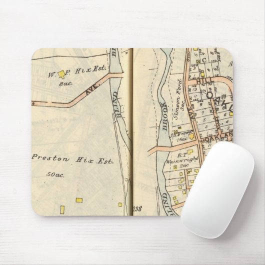 238239 Rogge Muismat (Met muis)