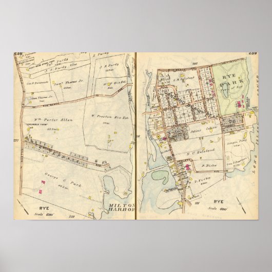 238239 Rogge Poster (Voorkant)