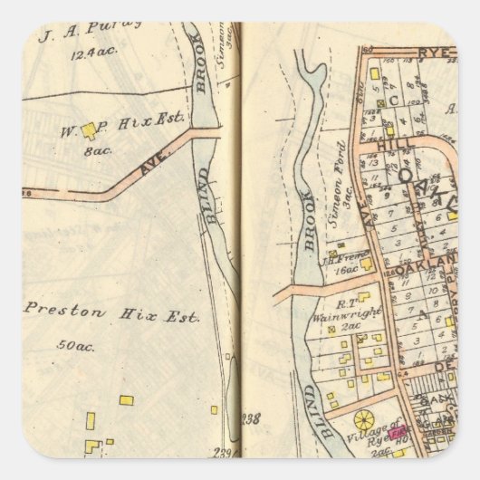 238239 Rogge Vierkante Sticker (Voorkant)