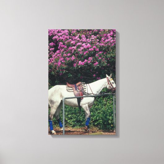 23893981 CANVAS AFDRUK (Voorkant)