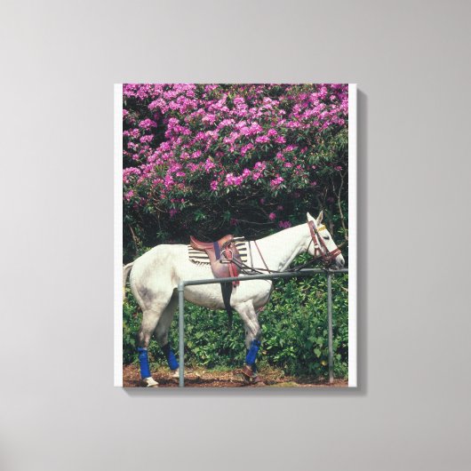 23893981 CANVAS AFDRUK (Voorkant)