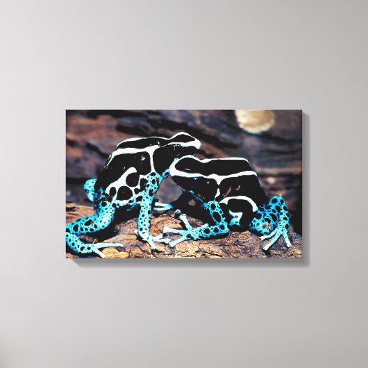 23898179 CANVAS AFDRUK (Voorkant)