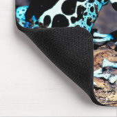 23898179 MUISMAT (Hoek)