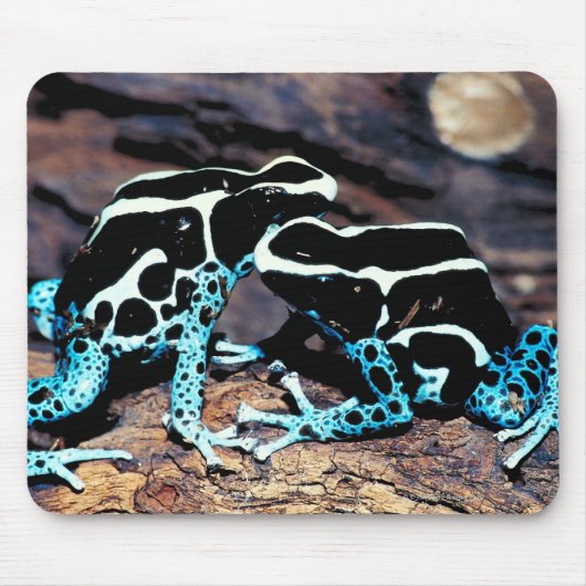 23898179 MUISMAT (Voorkant)